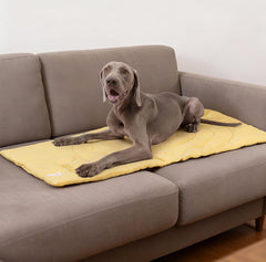 Diseño bullseye MikooMikoo favorece entrenamiento suave para tu mascota.