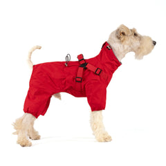 Mile High Life chubasquero para perro pequeño: protección impermeable para días de lluvia.