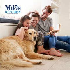 Milo's Kitchen: perro disfrutando snack, ideal para premiar durante juegos o entrenamiento.