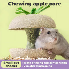 mini-moe snack natural para roedores, funciona como recompensa y entretenimiento.