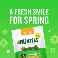 Minties hueso dental con menta para perro grande, masticación agradable y aliento fresco.
