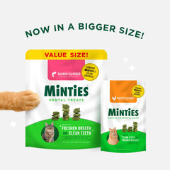 Minties, textura crujiente que ayuda a limpiar dientes de gatos.
