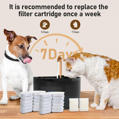 MISFANS agua más pura para gatos gracias a este filtro de alta calidad