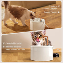 MISFANS Filtración dual: carbón activo y esponja capturan impurezas y olores.