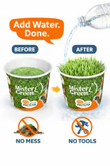 Mister Green Pet Cat Grass Grow Kit – semillas orgánicas para cultivo seguro