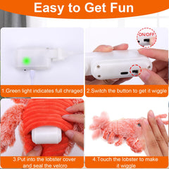 Fácil de usar: langosta interactiva de Mity Rain para perros.