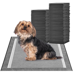 Almohadillas Mizok para cachorros, caja lista para entrenamiento diario en casa.