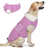 Mklhgty capa-perro-calidez-exterior ideal para paseos fríos