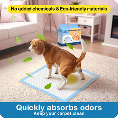 Control de olores con absorción avanzada de MoMoCo para espacios frescos