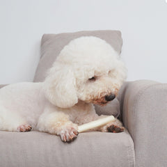 MON2SUN Cuidado dental básico durante la masticación para perros pequeños.