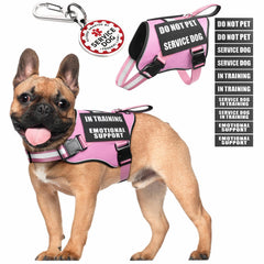MOOGROU chaleco servicio perro con parches visibles para entrenamiento diario