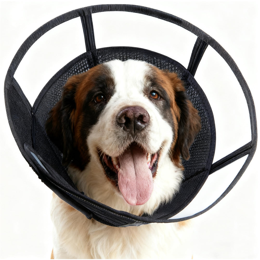 MoonyMars collar recuperación extra grande 37 cm para evitar lamidos tras cirugía