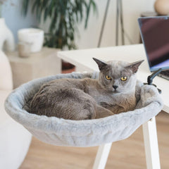 Moose Cozy: abrazadera estable para cama de gato en escritorio, seguridad durante las tareas