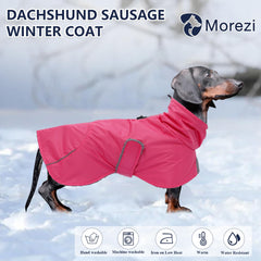 Morezi chaqueta dachshund con ajuste frontal para un confort estable.