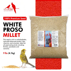 Morning Bird Mijo Blanco para aves: base nutritiva diaria.
