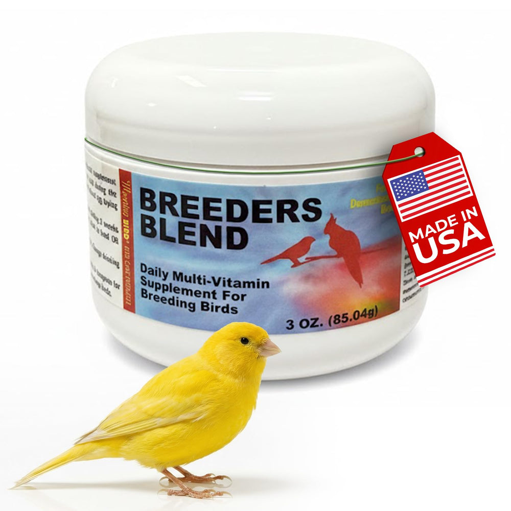 Morning Bird proteina para aves: apoyo a la energía y crecimiento
