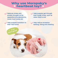 Moropaky Peluche Latido ofrece compañia constante para jaula