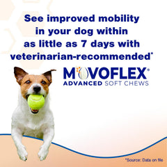 Movoflex envase doble con dos frascos, plan de uso para perros medianos.