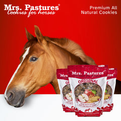 Galletas de caballos Mrs. Pastures textura-crujiente en mano