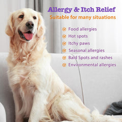 Mshuheene masticables con salmón y probióticos para piel saludable del perro.