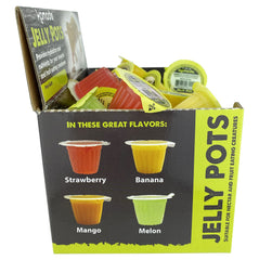 Jelly Pots Fruta sabor fresa, hidratación para insectos en terrario