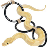 Mygeromon anillos de escalada para serpiente, fomentando trepar y descansar con seguridad.