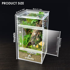 MYGIIKAKA habitat miniatura para insectos y aracnidos en casa.