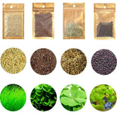 Mysteryhigh plantas de acuario, conjunto de cuatro bolsas para un aspecto natural.