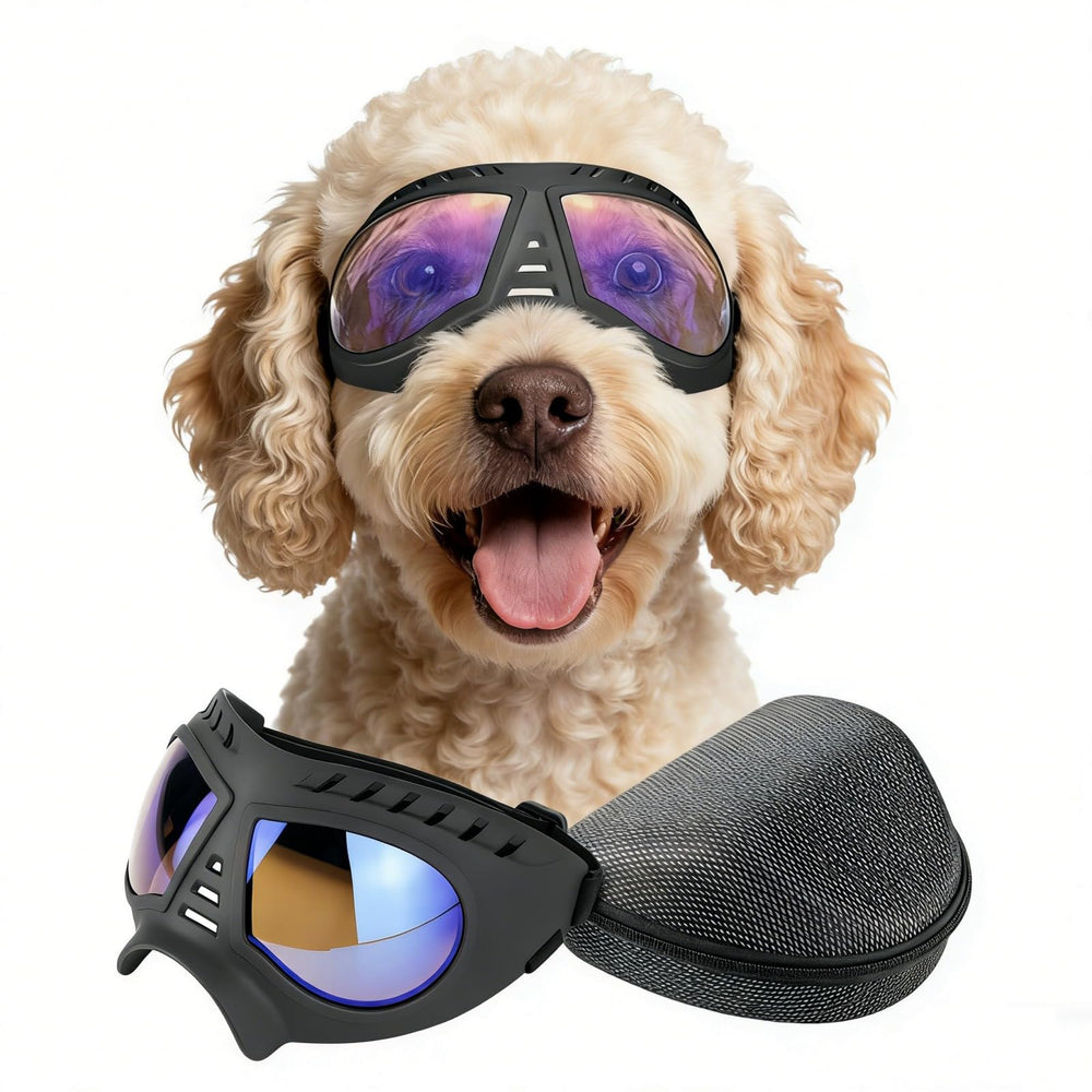 Gafas NAMSAN para perros grandes con lentes claros protegen ojos en exteriores.