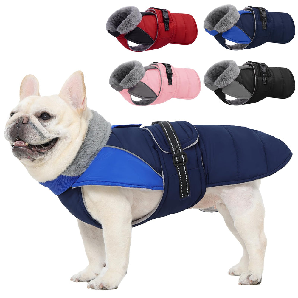 Nanaki chaqueta de invierno para perro, vista frontal, mantiene a tu mascota cómoda y protegida.