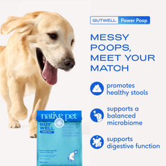Native Pet GutWell Power Poop medidor de dosificación para facilitar la administración.