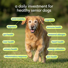 Native Pet Senior: cucharita medidora destacada para dosificación diaria