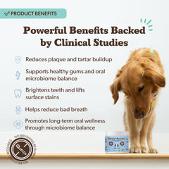 Polvo dental Natural Dog Company con postbiótico para microbioma oral