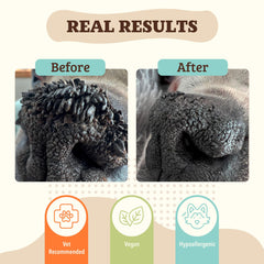 Aplicación suave de Snout Soother Balm en la nariz del perro