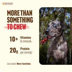 Natural Farm pack de 10 palitos masticables para perros
