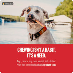 Natural Farm Palitos digestibles al 100% – opción segura para perros