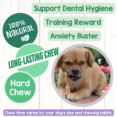 Nature Gnaws tendones para perros pequeños, masticación segura y entretenida