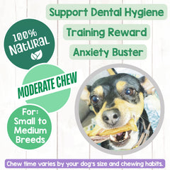 Nature Gnaws trenzas bully para perros pequeños, ideal para cachorros.