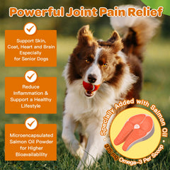 Nature Target curcuma para perros, ayuda a inflamacion suave.