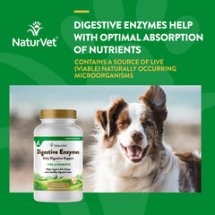 NaturVet enzimas digestivas masticables bote en Estados Unidos: producto para perros