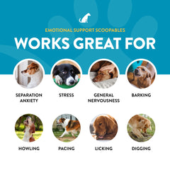 Perro tranquilo durante la separación gracias a NaturVet Scoopables, apoyo emocional.