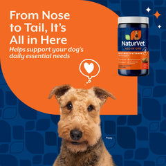 NaturVet Todo-en-Uno: perro con pelaje brillante y piel saludable.