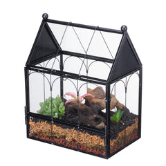 NCYP terrario de vidrio ventilado triangular para insectos pequeños; buena ventilación.
