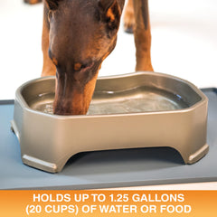 Neater Pet Brands tazón de agua de 1,25 galones para alimentar o hidratar varias mascotas