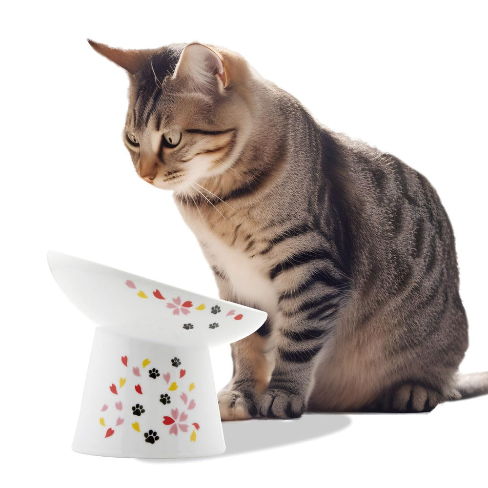 Necoichi comedero elevado para gatos, inclinación 15°, mayor comodidad