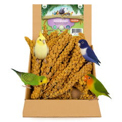 Nemeth Farms Millet Spray, bolsa cerrada, mantiene sabor y frescura para aves.