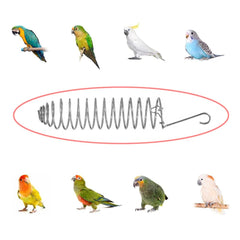 Alimentador para varias especies de aves NentMent, reduce desperdicio y facilita la alimentación
