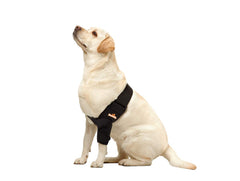 NeoAlly codo protector perro izquierdo: ajuste seguro y cómodo.