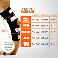 NeoAlly ferula trasera en compresión, protección suave para patas.