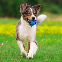 Nerf Dog: detalle de textura de goma para agarre seguro durante el juego.